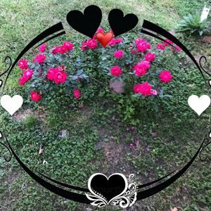 Meet your Posher, Phyllis